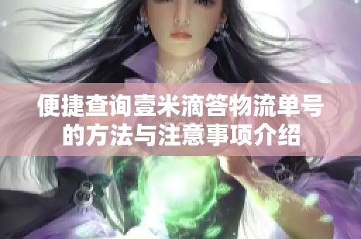 便捷查询壹米滴答物流单号的方法与注意事项介绍