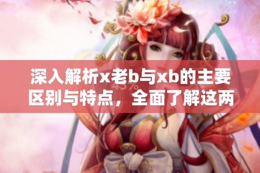 深入解析x老b与xb的主要区别与特点，全面了解这两者的不同之处