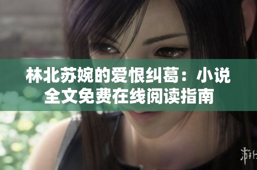 林北苏婉的爱恨纠葛：小说全文免费在线阅读指南