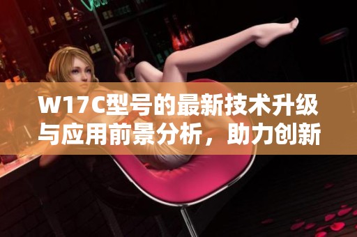 W17C型号的最新技术升级与应用前景分析，助力创新发展与市场拓展