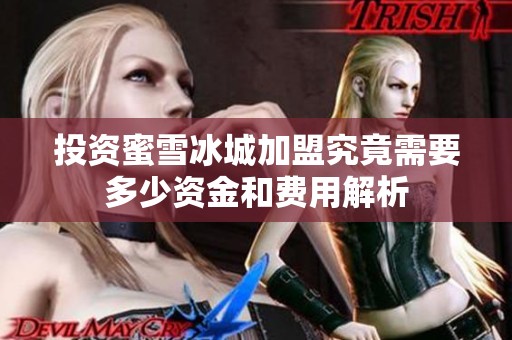 投资蜜雪冰城加盟究竟需要多少资金和费用解析