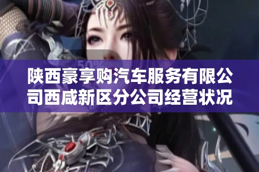 陕西豪享购汽车服务有限公司西咸新区分公司经营状况及发展前景分析