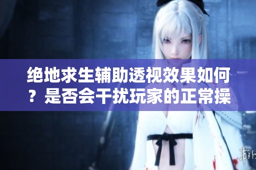 绝地求生辅助透视效果如何？是否会干扰玩家的正常操作体验
