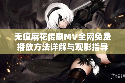 无痕麻花传剧MV全网免费播放方法详解与观影指导