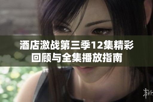 酒店激战第三季12集精彩回顾与全集播放指南
