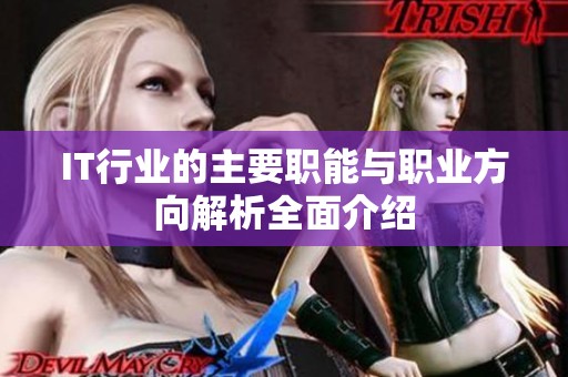 IT行业的主要职能与职业方向解析全面介绍