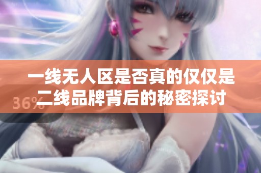 一线无人区是否真的仅仅是二线品牌背后的秘密探讨