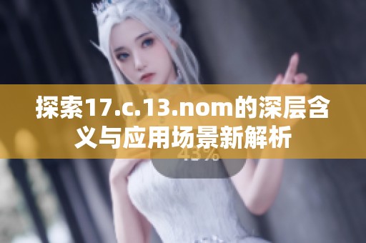 探索17.c.13.nom的深层含义与应用场景新解析