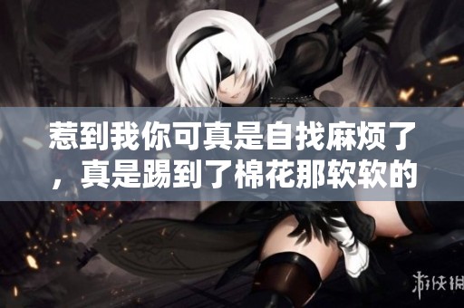 惹到我你可真是自找麻烦了，真是踢到了棉花那软软的地方
