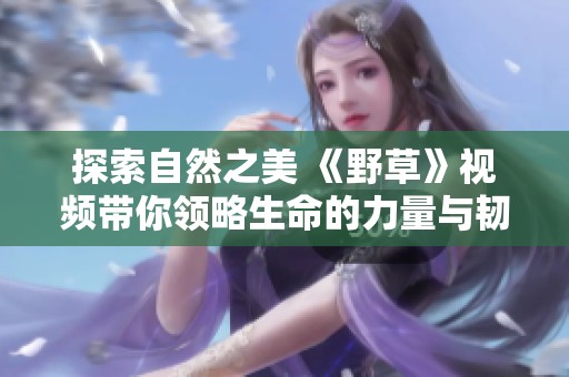 探索自然之美 《野草》视频带你领略生命的力量与韧性