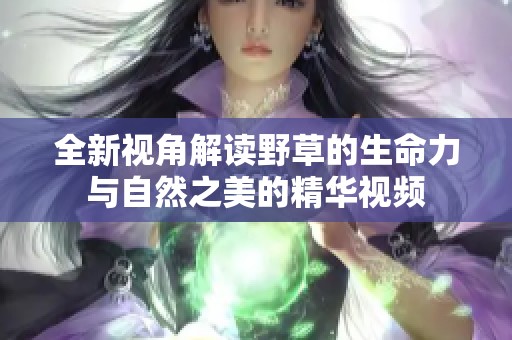 全新视角解读野草的生命力与自然之美的精华视频