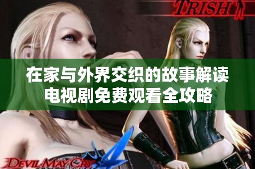 在家与外界交织的故事解读电视剧免费观看全攻略