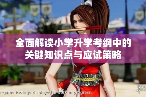 全面解读小学升学考纲中的关键知识点与应试策略